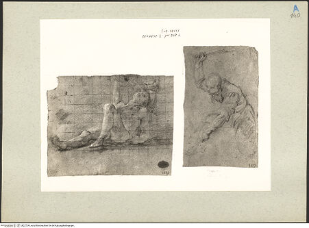 Vorderseite von bh227244_recto