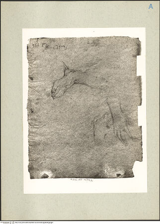 Vorderseite von bh227253_recto