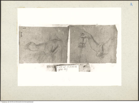 Vorderseite von bh227290_recto