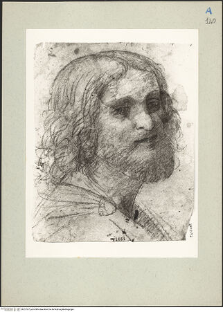 Vorderseite von bh227307_recto