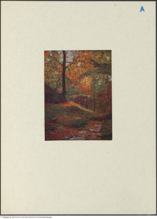 Vorderseite von bh227673_recto