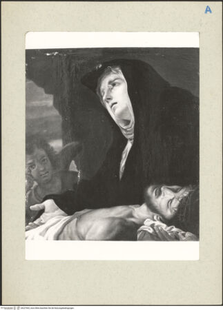 Vorderseite von bh227692_recto