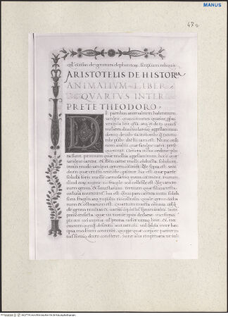 Vorderseite von bh227734_recto