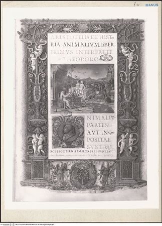 Vorderseite von bh227735_recto