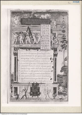 Vorderseite von bh227741_recto