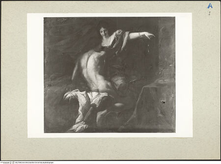 Vorderseite von bh227888_recto