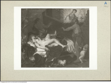 Vorderseite von bh227891_recto