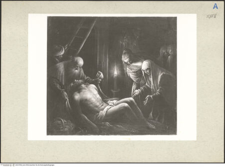 Vorderseite von bh227894_recto