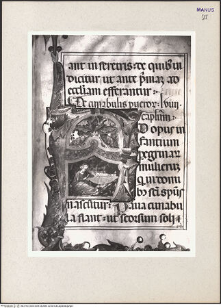 Vorderseite von bh227924_recto