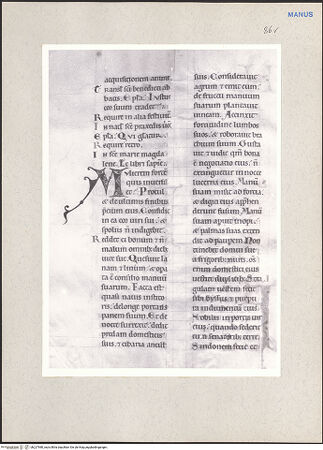 Vorderseite von bh227980_recto