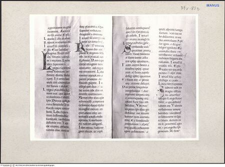 Vorderseite von bh227984_recto