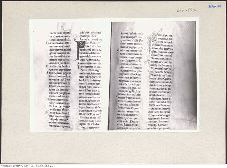 Vorderseite von bh227989_recto