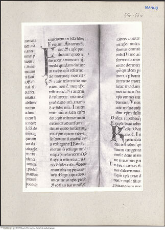 Vorderseite von bh227994_recto