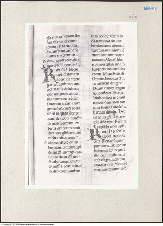 Vorderseite von bh227998_recto