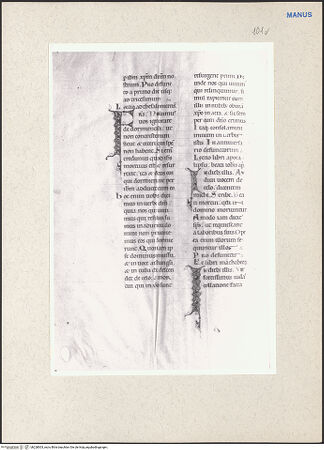 Vorderseite von bh228003_recto