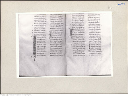 Vorderseite von bh228004_recto