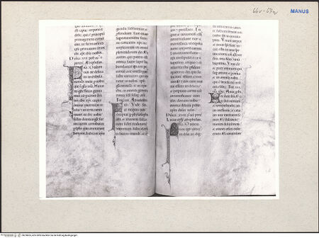 Vorderseite von bh228005_recto