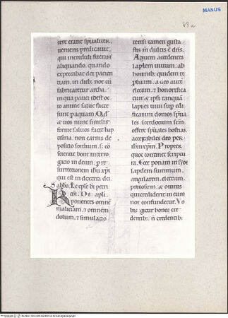 Vorderseite von bh228007_recto