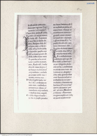 Vorderseite von bh228010_recto