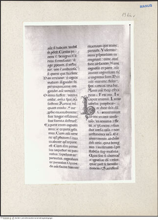 Vorderseite von bh228011_recto