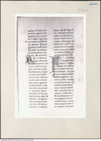 Vorderseite von bh228012_recto