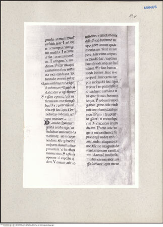 Vorderseite von bh228013_recto