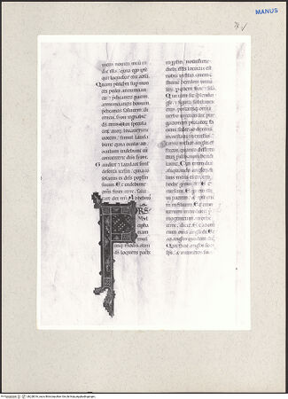 Vorderseite von bh228016_recto