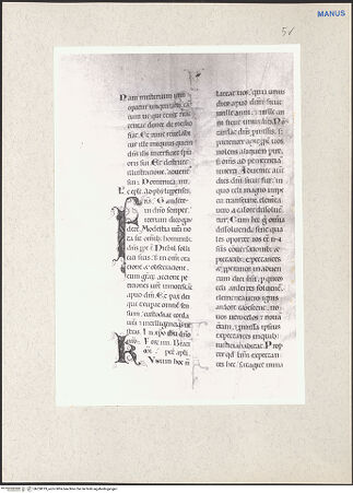 Vorderseite von bh228019_recto