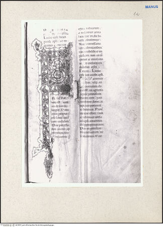 Vorderseite von bh228021_recto