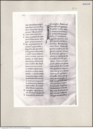 Vorderseite von bh228026_recto