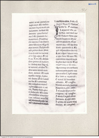 Vorderseite von bh228028_recto