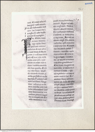 Vorderseite von bh228029_recto