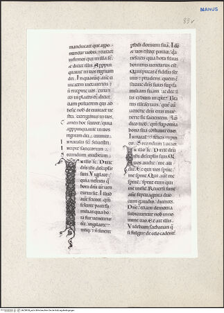 Vorderseite von bh228030_recto