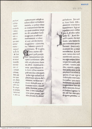 Vorderseite von bh228036_recto