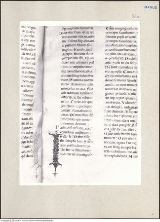 Vorderseite von bh228037_recto