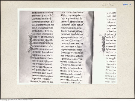 Vorderseite von bh228039_recto