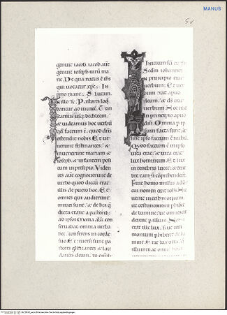 Vorderseite von bh228042_recto