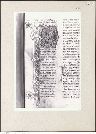 Vorderseite von bh228046_recto