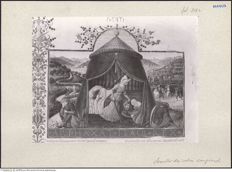 Vorderseite von bh228056_recto