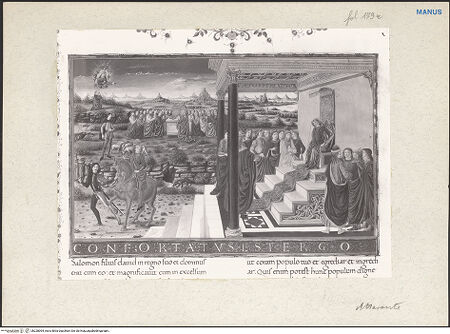 Vorderseite von bh228064_recto