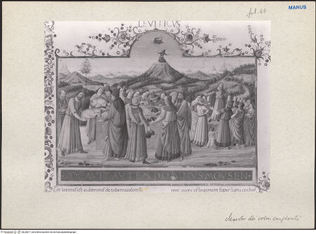 Vorderseite von bh228077_recto