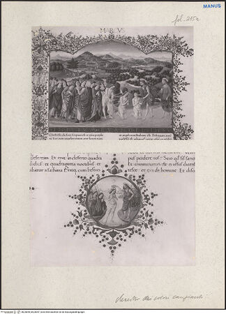 Vorderseite von bh228096_bh228097_recto