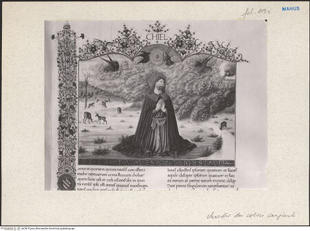 Vorderseite von bh228115_recto