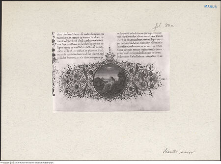 Vorderseite von bh228116_recto