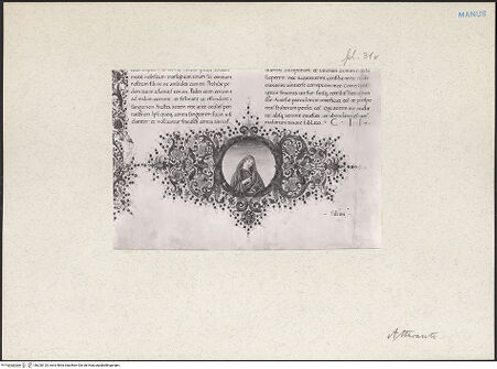 Vorderseite von bh228125_recto