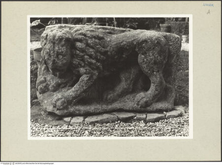 Vorderseite von bh228355_recto