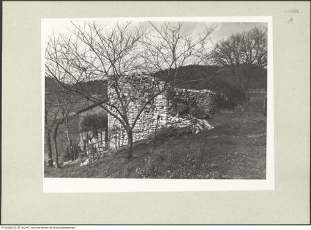 Vorderseite von bh228417_recto