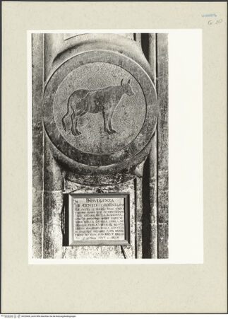 Vorderseite von bh228436_recto