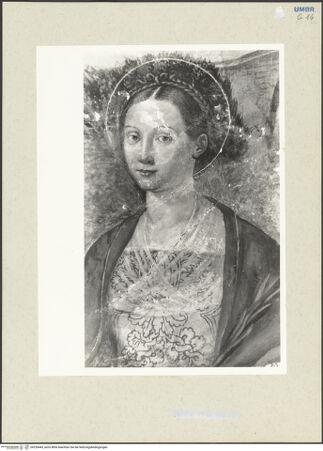 Vorderseite von bh228445_recto