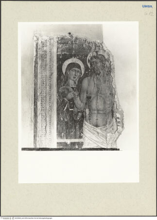 Vorderseite von bh228469_recto